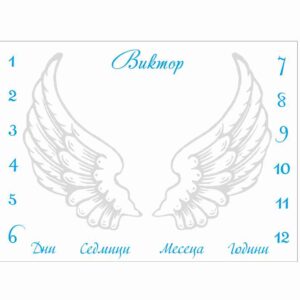 Платна за месечинки Платно за месечиники/снимки